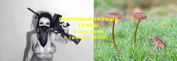 первитин Балахна