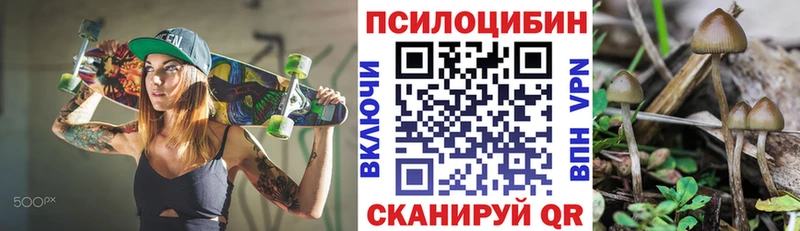 Псилоцибиновые грибы Psilocybe  Купить  Голицыно 